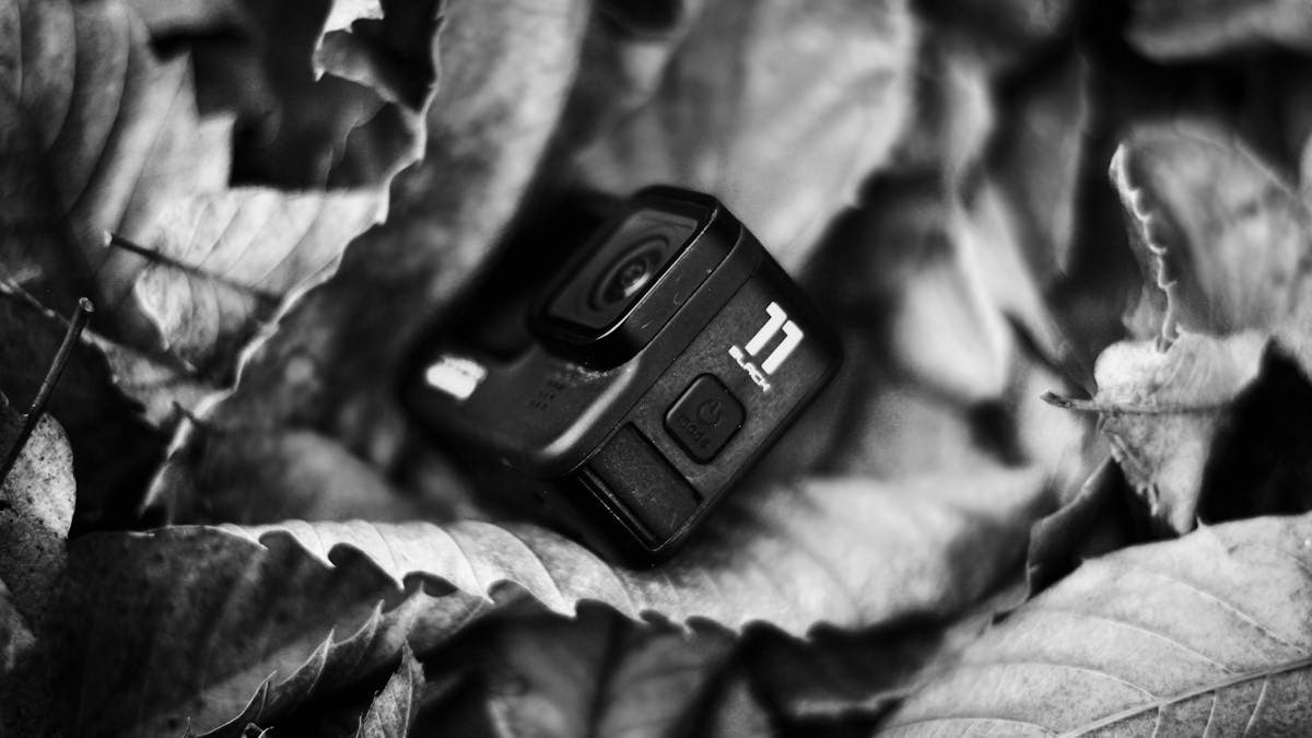 A GoPro camera lies among dry fallen leaves, captured in black and white.
